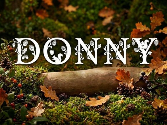 Donny: A Bold Typeface for Unforgettable Design